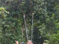 Tn DSC 4313